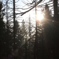 (45/101): Wycieczka na Boracz, Lipowsk i Rysiank 03.12.2014r.