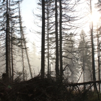 (47/101): Wycieczka na Boracz, Lipowsk i Rysiank 03.12.2014r.