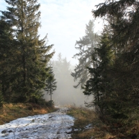 (48/101): Wycieczka na Boracz, Lipowsk i Rysiank 03.12.2014r.