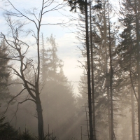 (49/101): Wycieczka na Boracz, Lipowsk i Rysiank 03.12.2014r.