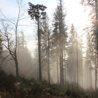 (50/101): Wycieczka na Boracz, Lipowsk i Rysiank 03.12.2014r.