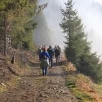 (51/101): Wycieczka na Boracz, Lipowsk i Rysiank 03.12.2014r.