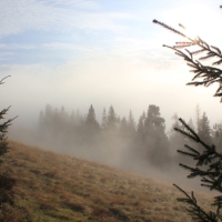 (53/101): Wycieczka na Boracz, Lipowsk i Rysiank 03.12.2014r.
