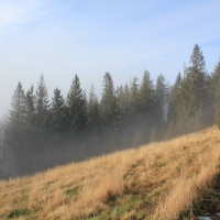 (54/101): Wycieczka na Boracz, Lipowsk i Rysiank 03.12.2014r.