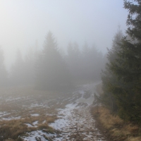(56/101): Wycieczka na Boracz, Lipowsk i Rysiank 03.12.2014r.