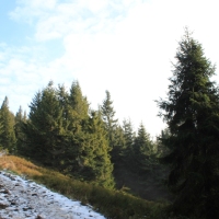 (57/101): Wycieczka na Boracz, Lipowsk i Rysiank 03.12.2014r.