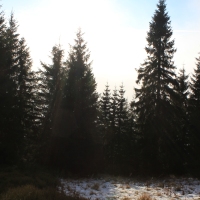 (59/101): Wycieczka na Boracz, Lipowsk i Rysiank 03.12.2014r.