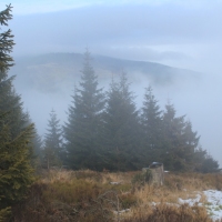 (76/101): Wycieczka na Boraczą, Lipowską i Rysiankę 03.12.2014r.