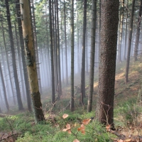 (81/101): Wycieczka na Boracz, Lipowsk i Rysiank 03.12.2014r.