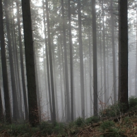 (82/101): Wycieczka na Boracz, Lipowsk i Rysiank 03.12.2014r.