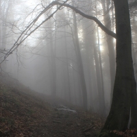 (83/101): Wycieczka na Boracz, Lipowsk i Rysiank 03.12.2014r.