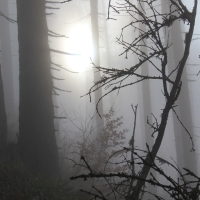 (84/101): Wycieczka na Boracz, Lipowsk i Rysiank 03.12.2014r.