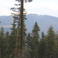 (7/76): Wycieczka na Wielk� Rycerzow� 16.11.2014r.