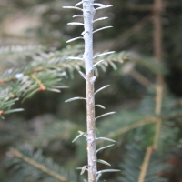 (8/76): Wycieczka na Wielk� Rycerzow� 16.11.2014r.