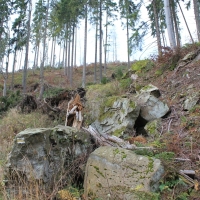 (12/76): Wycieczka na Wielk� Rycerzow� 16.11.2014r.