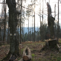 (15/76): Wycieczka na Wielk� Rycerzow� 16.11.2014r.