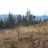 (19/76): Wycieczka na Wielk� Rycerzow� 16.11.2014r.