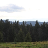 (25/76): Wycieczka na Wielk� Rycerzow� 16.11.2014r.