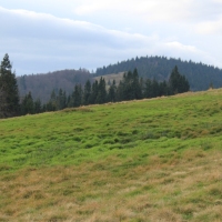 (26/76): Wycieczka na Wielk� Rycerzow� 16.11.2014r.