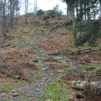 (65/76): Wycieczka na Wielk� Rycerzow� 16.11.2014r.