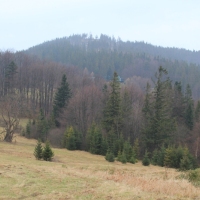 (69/76): Wycieczka na Wielk� Rycerzow� 16.11.2014r.