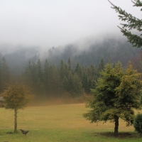(71/76): Wycieczka na Wielk� Rycerzow� 16.11.2014r.