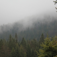 (72/76): Wycieczka na Wielk� Rycerzow� 16.11.2014r.