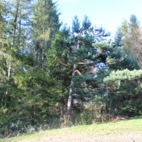 (112/131): Wycieczka na Polic 19.10.2014r.