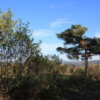 (117/131): Wycieczka na Polic 19.10.2014r.