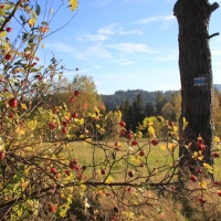 (122/131): Wycieczka na Polic 19.10.2014r.