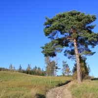 (123/131): Wycieczka na Polic 19.10.2014r.