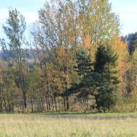 (124/131): Wycieczka na Polic 19.10.2014r.