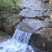 (126/131): Wycieczka na Polic 19.10.2014r.