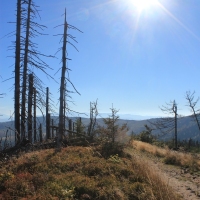 (74/146): XVII G�rski Rajd Pieszy M�odzie�y Powiatu Pszczy�skiego 