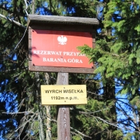 (125/146): XVII G�rski Rajd Pieszy M�odzie�y Powiatu Pszczy�skiego 