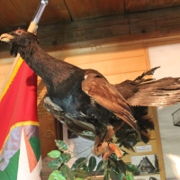 (139/146): XVII G�rski Rajd Pieszy M�odzie�y Powiatu Pszczy�skiego 