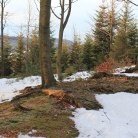 (12/138): Wycieczka g�rska w Beskid Ma�y 09.01.2015r. odPrze�. Kocierskiej przez Potr�jn�, Leskowiec, Gro� Jana Paw�a II do Rzyk Jag�dek