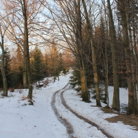 (13/138): Wycieczka g�rska w Beskid Ma�y 09.01.2015r. odPrze�. Kocierskiej przez Potr�jn�, Leskowiec, Gro� Jana Paw�a II do Rzyk Jag�dek