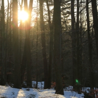 (16/138): Wycieczka g�rska w Beskid Ma�y 09.01.2015r. odPrze�. Kocierskiej przez Potr�jn�, Leskowiec, Gro� Jana Paw�a II do Rzyk Jag�dek