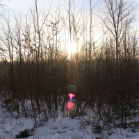 (17/138): Wycieczka g�rska w Beskid Ma�y 09.01.2015r. odPrze�. Kocierskiej przez Potr�jn�, Leskowiec, Gro� Jana Paw�a II do Rzyk Jag�dek