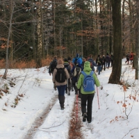 (20/138): Wycieczka g�rska w Beskid Ma�y 09.01.2015r. odPrze�. Kocierskiej przez Potr�jn�, Leskowiec, Gro� Jana Paw�a II do Rzyk Jag�dek