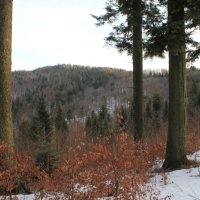 (21/138): Wycieczka g�rska w Beskid Ma�y 09.01.2015r. odPrze�. Kocierskiej przez Potr�jn�, Leskowiec, Gro� Jana Paw�a II do Rzyk Jag�dek