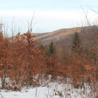 (22/138): Wycieczka g�rska w Beskid Ma�y 09.01.2015r. odPrze�. Kocierskiej przez Potr�jn�, Leskowiec, Gro� Jana Paw�a II do Rzyk Jag�dek