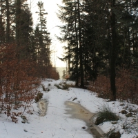 (23/138): Wycieczka g�rska w Beskid Ma�y 09.01.2015r. odPrze�. Kocierskiej przez Potr�jn�, Leskowiec, Gro� Jana Paw�a II do Rzyk Jag�dek