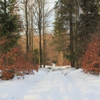 (24/138): Wycieczka g�rska w Beskid Ma�y 09.01.2015r. odPrze�. Kocierskiej przez Potr�jn�, Leskowiec, Gro� Jana Paw�a II do Rzyk Jag�dek