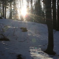 (25/138): Wycieczka g�rska w Beskid Ma�y 09.01.2015r. odPrze�. Kocierskiej przez Potr�jn�, Leskowiec, Gro� Jana Paw�a II do Rzyk Jag�dek