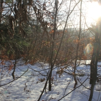 (27/138): Wycieczka g�rska w Beskid Ma�y 09.01.2015r. odPrze�. Kocierskiej przez Potr�jn�, Leskowiec, Gro� Jana Paw�a II do Rzyk Jag�dek