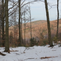 (28/138): Wycieczka g�rska w Beskid Ma�y 09.01.2015r. odPrze�. Kocierskiej przez Potr�jn�, Leskowiec, Gro� Jana Paw�a II do Rzyk Jag�dek