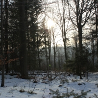 (29/138): Wycieczka g�rska w Beskid Ma�y 09.01.2015r. odPrze�. Kocierskiej przez Potr�jn�, Leskowiec, Gro� Jana Paw�a II do Rzyk Jag�dek