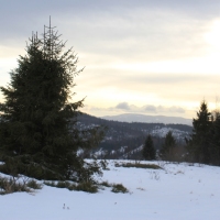 (35/138): Wycieczka g�rska w Beskid Ma�y 09.01.2015r. odPrze�. Kocierskiej przez Potr�jn�, Leskowiec, Gro� Jana Paw�a II do Rzyk Jag�dek